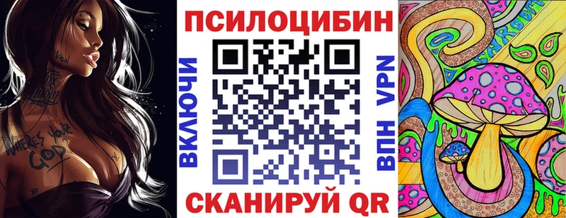 Галлюциногенные грибы Psilocybe  Купить где  Ленинск 